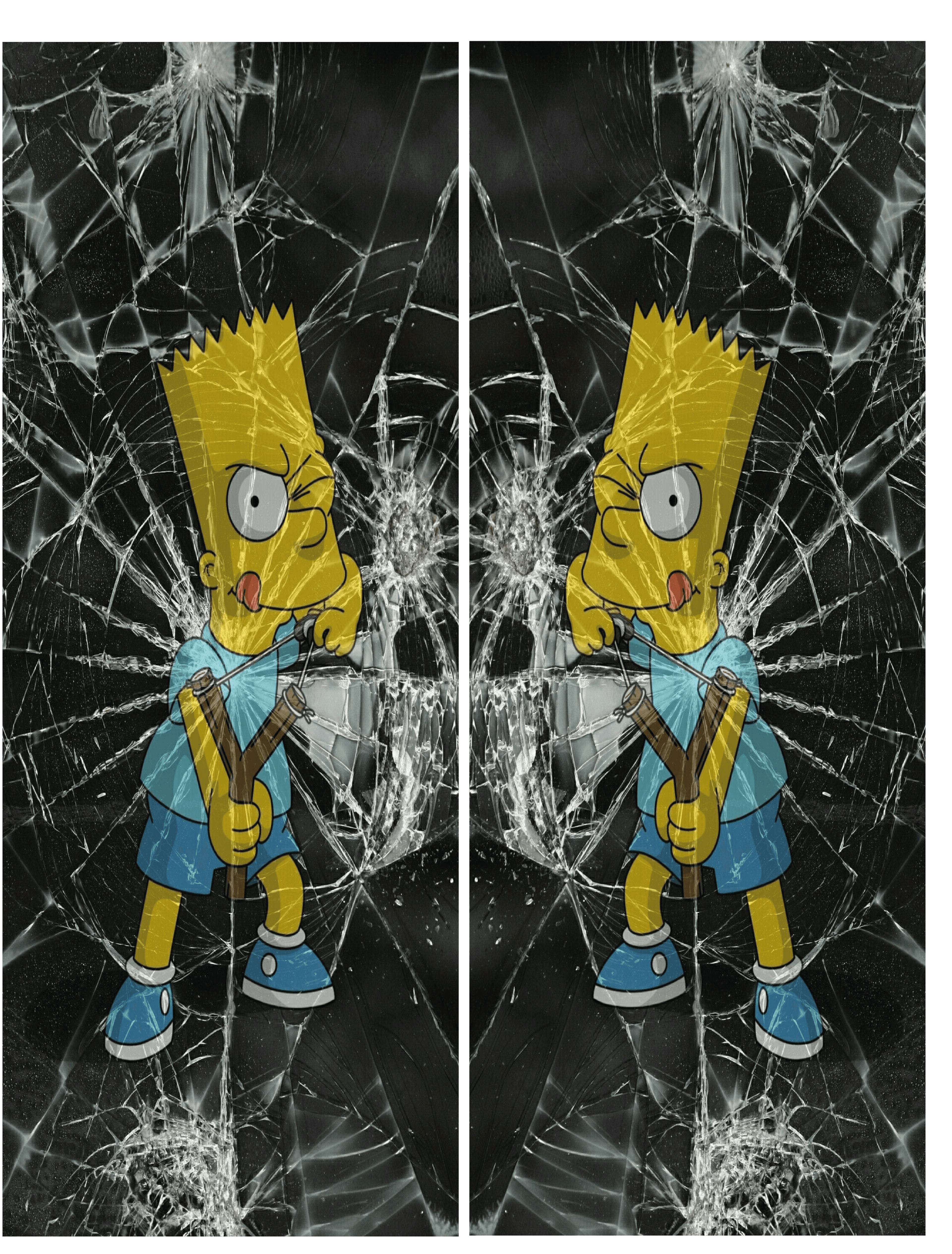 Simpson 2 Kapı Direk Kaplama - Görsel 2